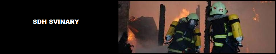 sdh SVINARY